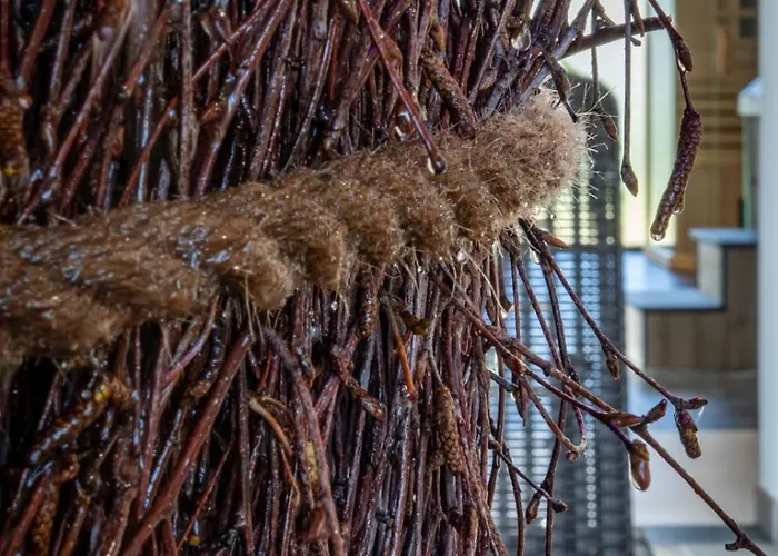 Belle View 315 * Szklarska Poręba